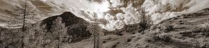 Lackenalm und Lackenkogel im Panorama