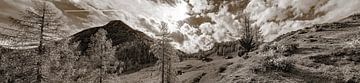 Panorama van de Lackenalm en Lackenkogel van Christa Kramer