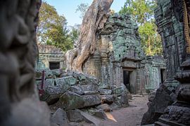 Le temple Ta Prohm Cambodge sur Frank Verburg