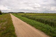 Schijnbaar eindeloos lang zandpad in een Nederlandse polder van Ruud Morijn thumbnail