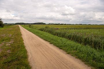 Scheinbar endloser Feldweg in einem niederländischen Polder