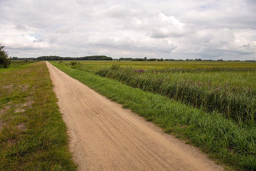 Schijnbaar eindeloos lang zandpad in een Nederlandse polder van Ruud Morijn