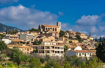 Schöner Blick auf das mediterrane Dorf Selva auf Mallorca von Alex Winter