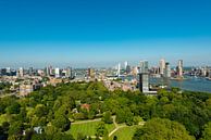 Rotterdam met de Erasmusbrug vanaf de Euromast. van Brian Morgan thumbnail