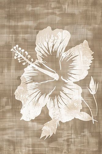 Douceur de l'aube à l'hibiscus