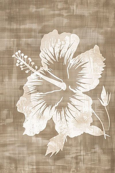 Gentle Hibiscus Dawn by Modern Collection