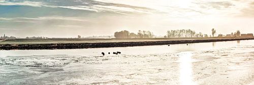 Kager Ader Polder Nederland Panorama in de Winter