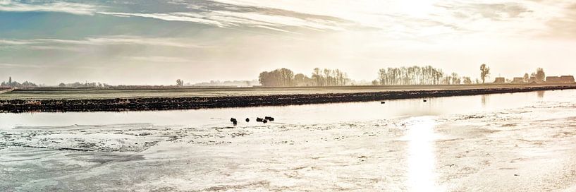 Kager Ader Polder Nederland Panorama in de Winter van Hendrik-Jan Kornelis