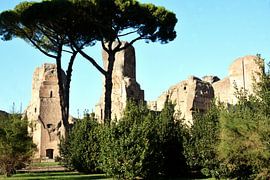 Ancient splendour at the Baths of Caracalla