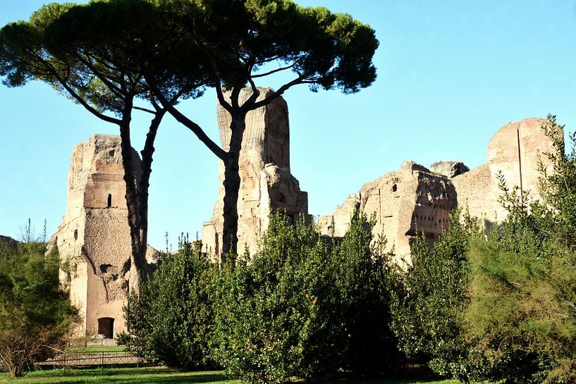 Antike Pracht in den Caracalla-Thermen von Frank Photos