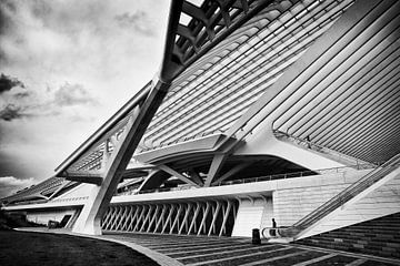 Treinstation Guillemins @ Luik van Rob Boon