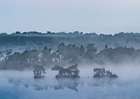 Stappersven im Nebel.