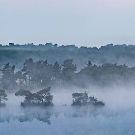 Stappersven in de mist. van Ivo Schut Fotografie