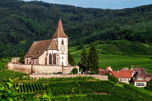 Kerk in de wijngaarden