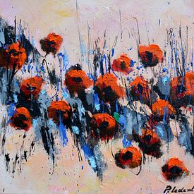 Red poppies sur pol ledent