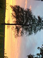 Avondkleuren in Noord-Nederland