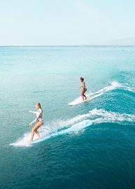 Surf Dance by Gal Design