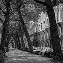 Lomanstraat van Hugo Lingeman thumbnail