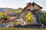 Gradierbau (Salinen) im Kurpark von Bad Dürkheim mit Blick auf die Michaelskapelle von Fabian Bracht Miniaturansicht