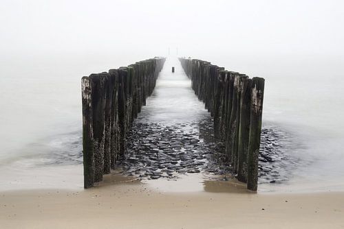 "Stradwachters in de mist"