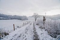 Sonnige Winterlandschaft