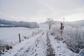 Sunny winter landscape by Stefanie Hürrich