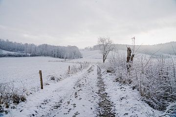 Zonnig winterlandschap van Stefanie Hürrich