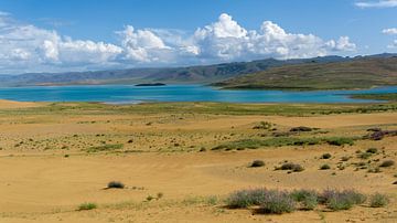 Abandoned lake in Mongolia