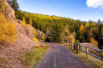 Herbstliche Wanderung rund um die Ohratalsperre bei Luisenthal  - Thüringer Wald von Oliver Hlavaty