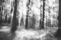 Verloren in het bos - abstracte infraroodfoto van Patrik Lovrin thumbnail