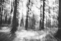 Verloren in het bos - abstracte infraroodfoto