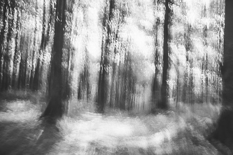 Verloren in het bos - abstracte infraroodfoto van Patrik Lovrin