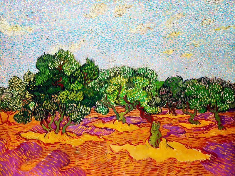 Olivenbäume mit blauem Himmel - Vincent van Gogh - 1889 von Doesburg Design