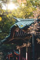 temple japonais