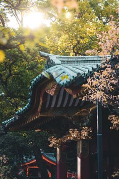 Japanese temple complex by Endre Lommatzsch