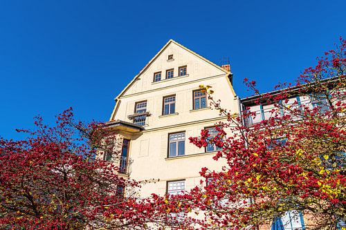 A view of a historic building with rowan trees in the 