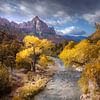 Zion national park von Rob Visser