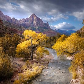Zion national park van Rob Visser