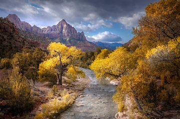 Zion national park by Rob Visser