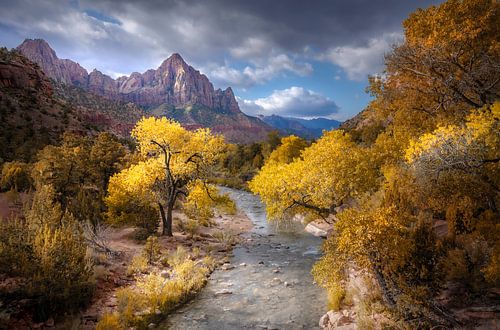 Zion national park