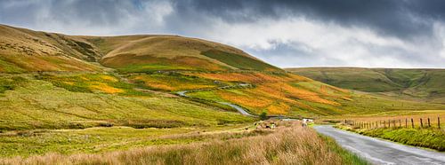 Weg door de geel gekleurde heuvels van Wales. Groot-Brittannië