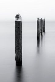  like father like sons