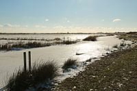 Un champ de glace sur le Sneekermeer