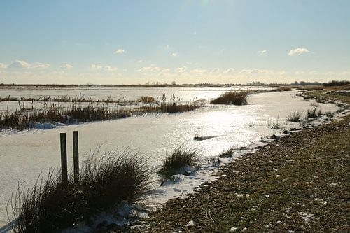An icefield on the Sneekermeer