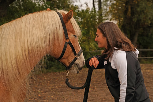 Beste vrienden - lichtbruine Haflinger met beige manen en haar paard
