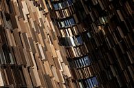 New shapes by Marco Tagliarino thumbnail