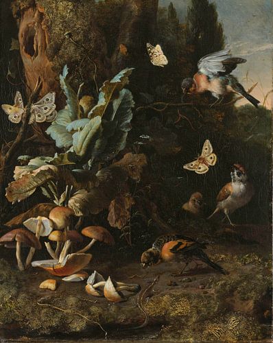 Dieren en planten, Melchior d'Hondecoeter
