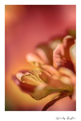 Flower Wisdom