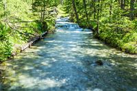 Bach zum Fernsteinsee