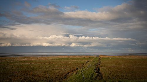 Kwelderlandschap aan de Waddenkust van Groningen